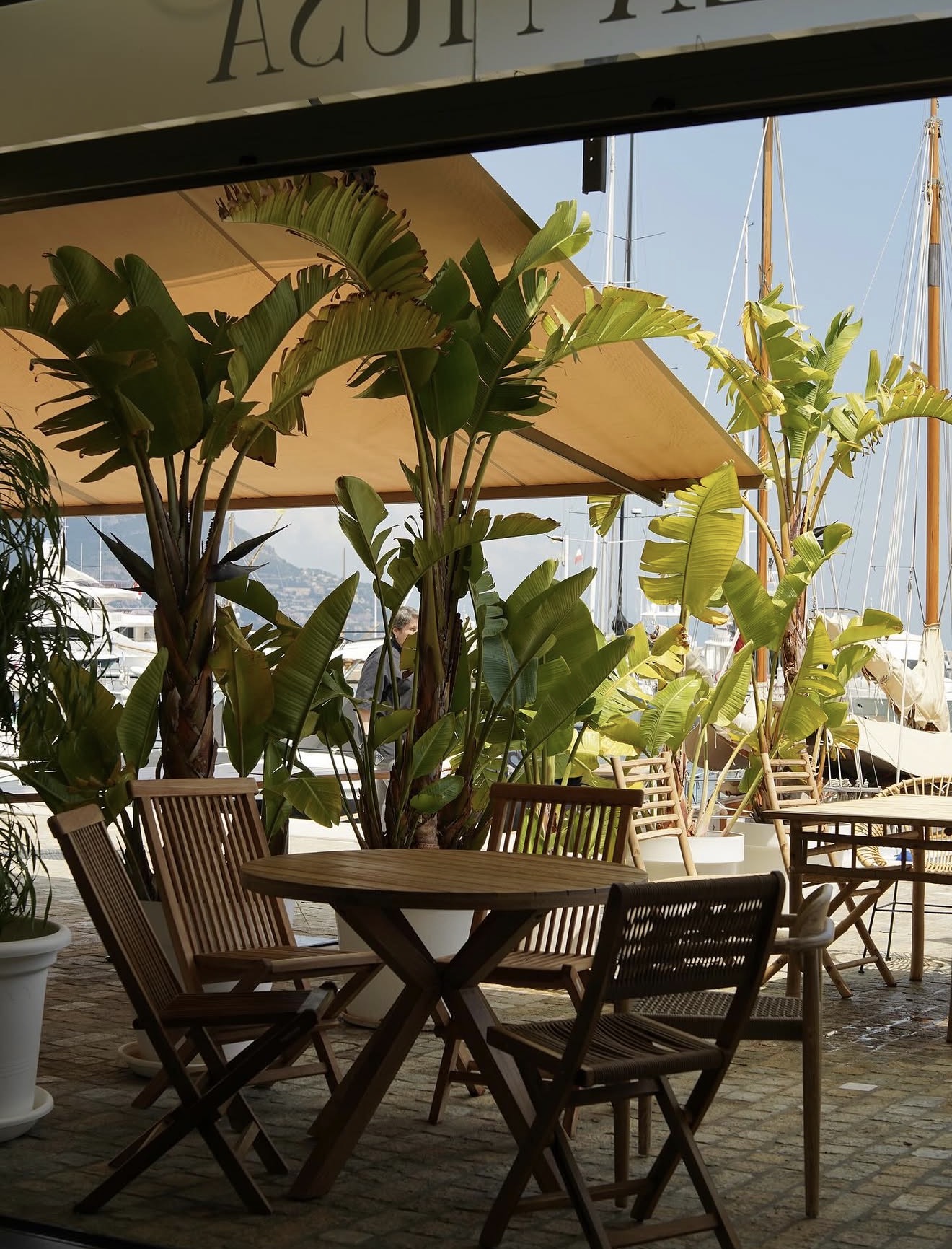 La terrasse de La Musa sur le port de plaisance de Saint-Jean-Cap-Ferrat